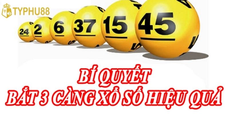Đôi nét chi tiết về lô 3 càng tại hệ thống