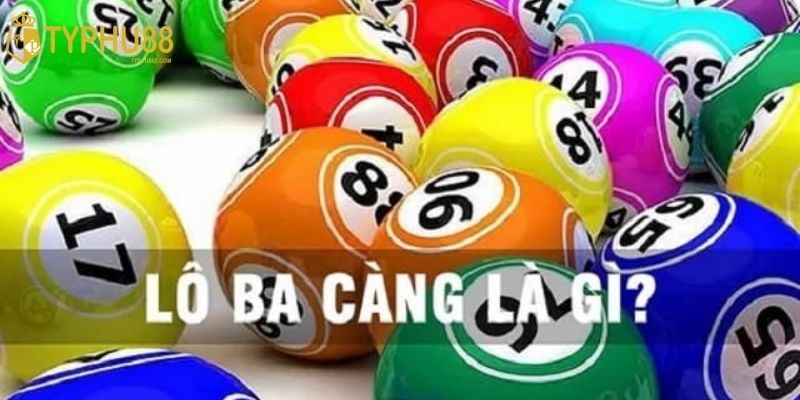 Chơi lô 3 càng theo số thuận đài