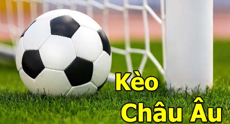 Biết lựa chọn kèo cho mỗi đội
