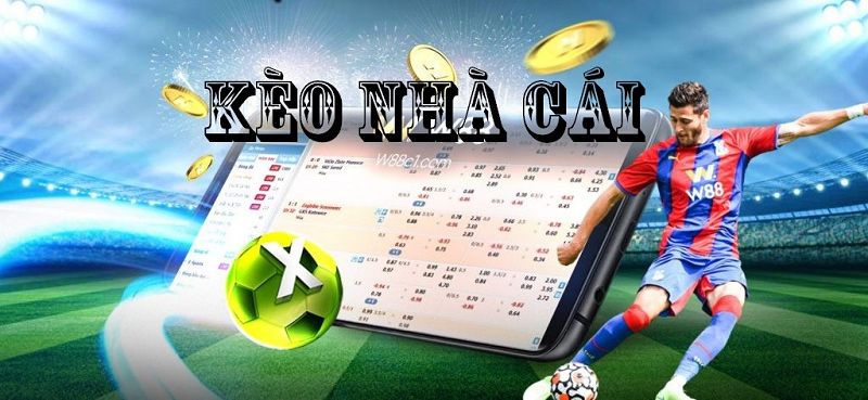 Theo dõi biến động tỷ lệ kèo
