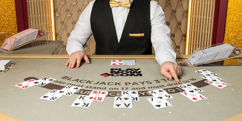 Live Casino game bài Typhu88