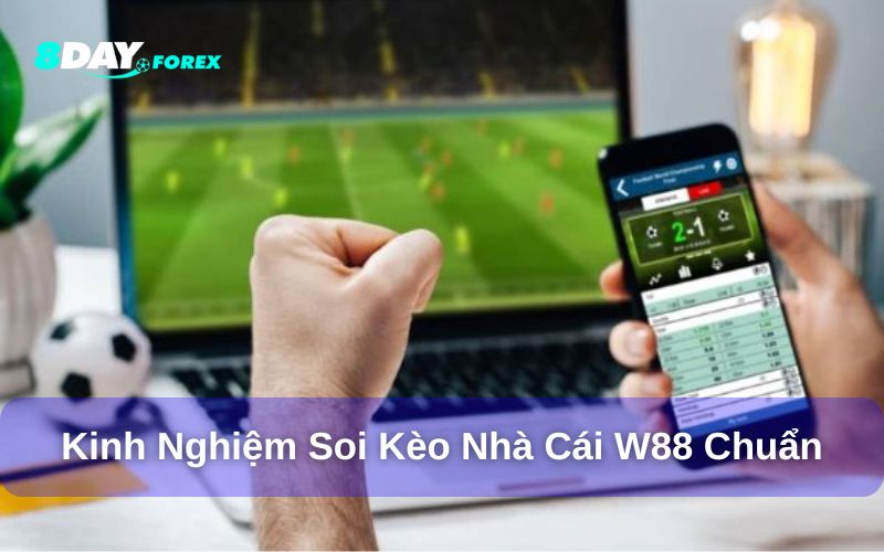 Mẹo soi kèo W88 hiệu quả hơn