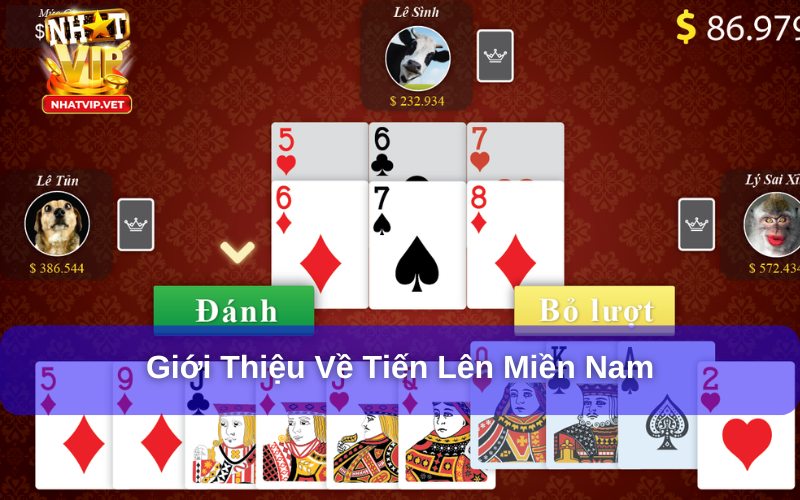 Tổng quan về Tiến Lên Miền Nam